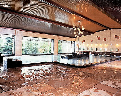 Ryokan 琵琶湖グランドホテル京近江 3*